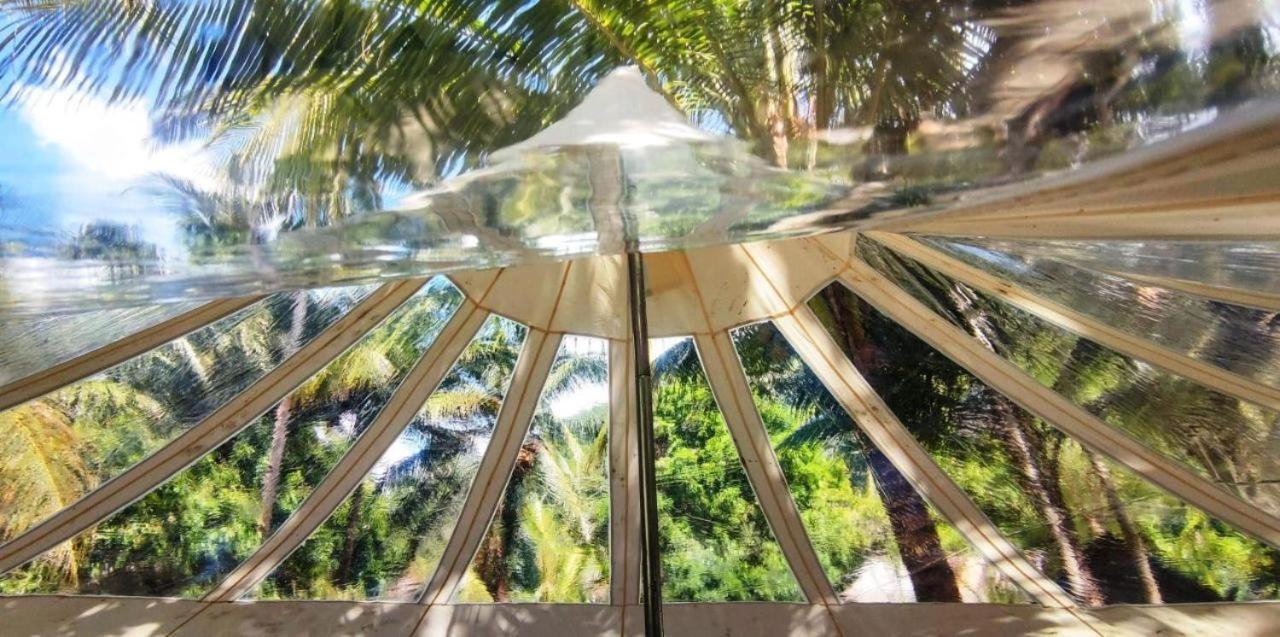 Firesky Glamping Ocam Ocam Beach New Busuanga 外观 照片